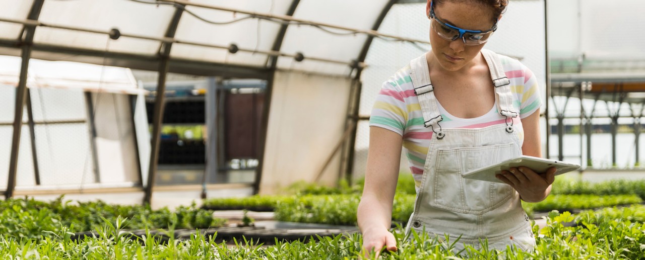 Agriculture en interieur