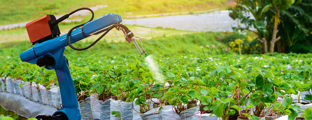 Agriculture robotique