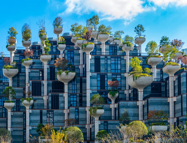 Jardin moderne