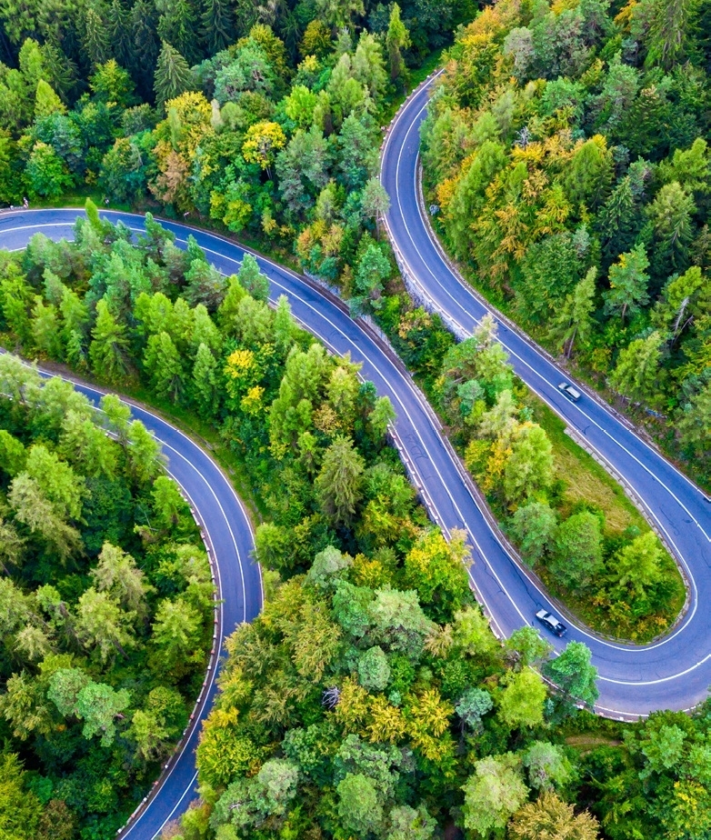 Road amidst tree