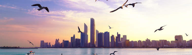 Paysage urbain et mouette