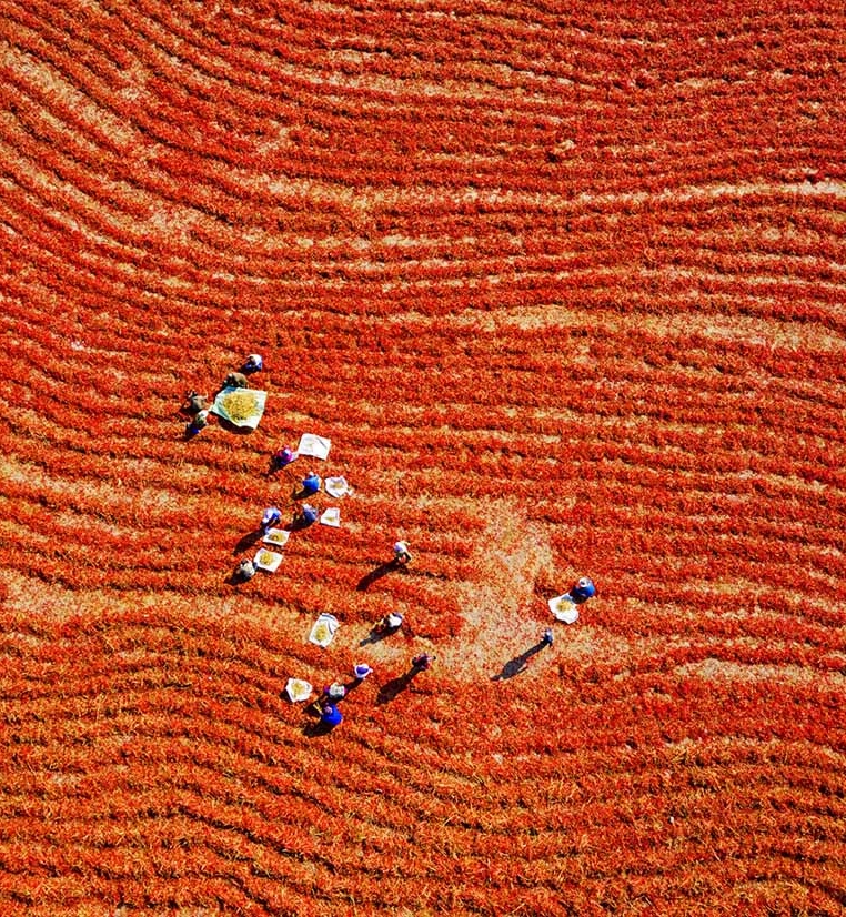  Display in modal window to enlarge